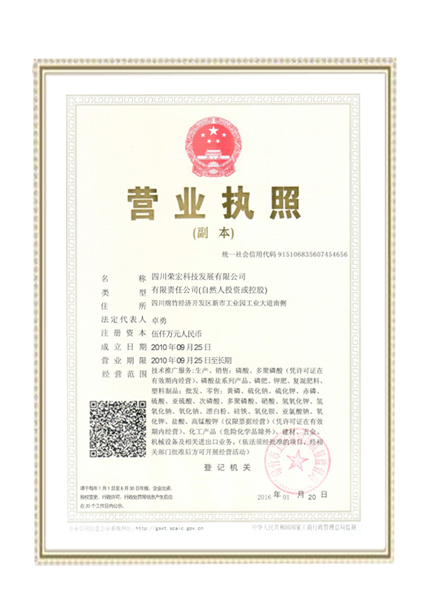 COMPANY LICENSE